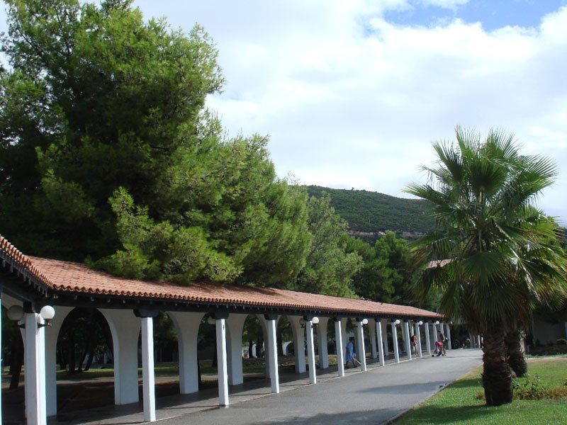 Slovenska Plaza  83181