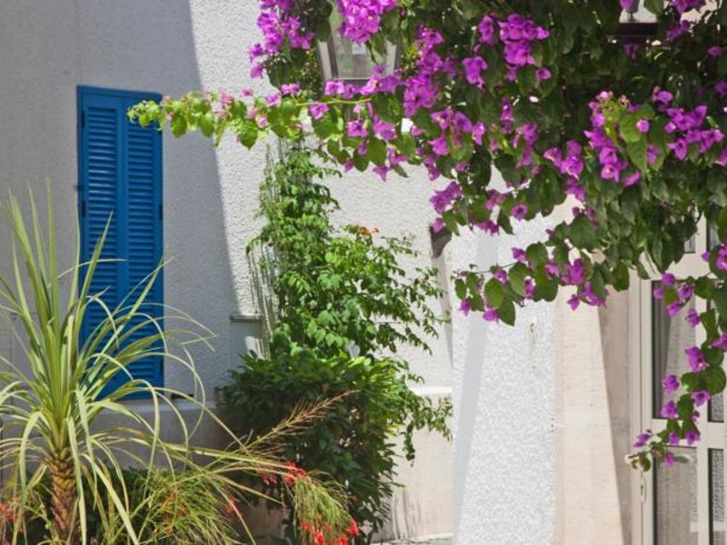 Slovenska Plaza  83207