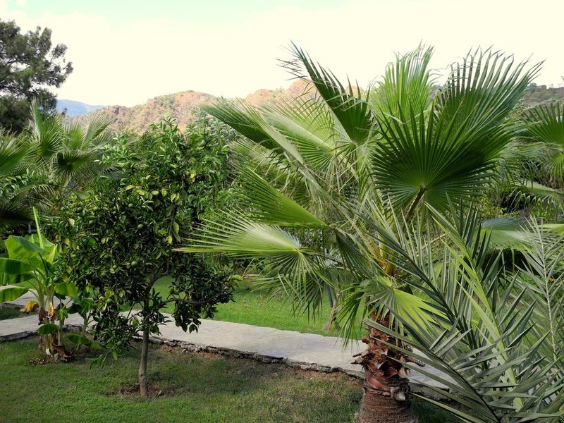 Smile Butik Hotel 281012