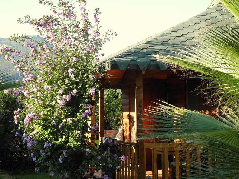 Smile Butik Hotel 281014