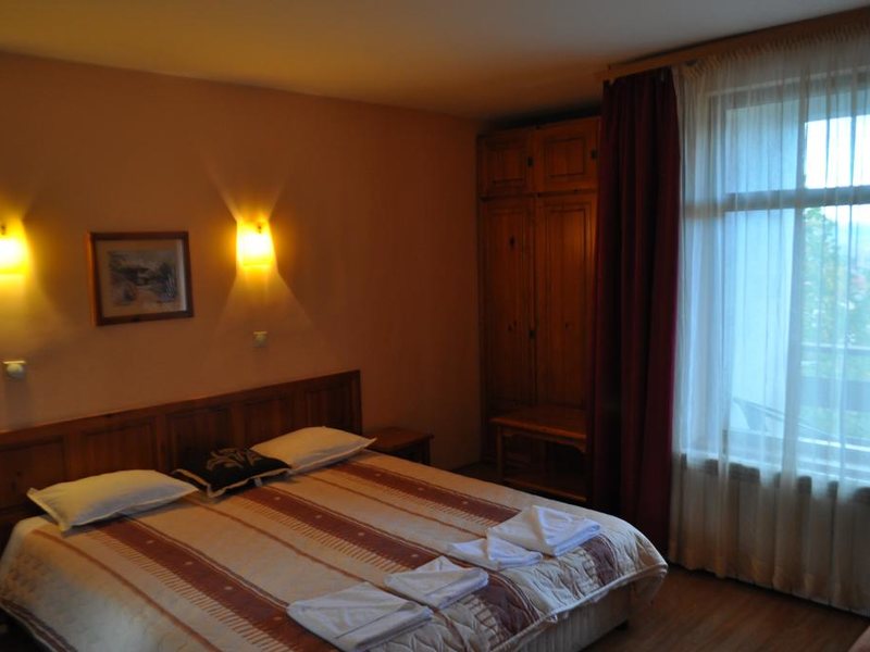 Sofia Family Hotel Bansko 313967