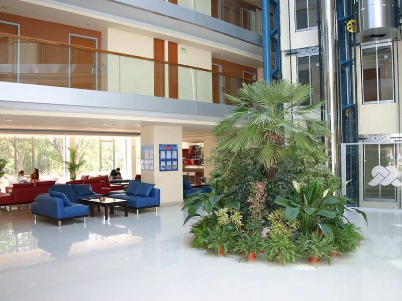 Sol Marina Palace  173723