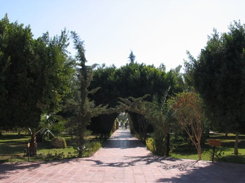 Sol Y Mar Dolphin House  27943