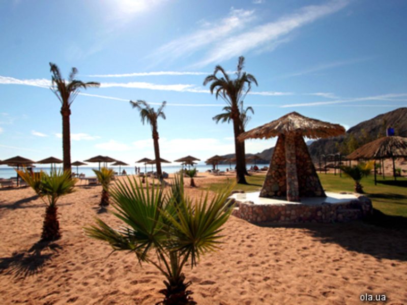 Sol Y Mar Sea Star Taba 5823