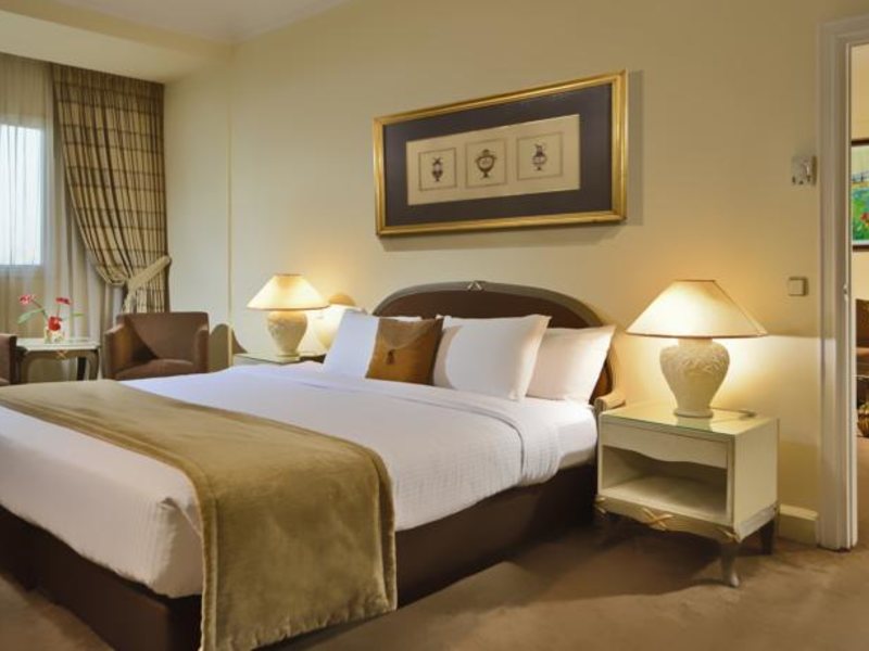 Sonesta Cairo Hotel & Casino  147741