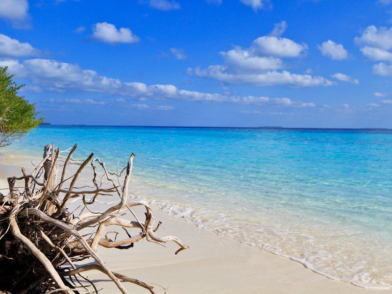 Soneva Fushi Resort & Spa 136641