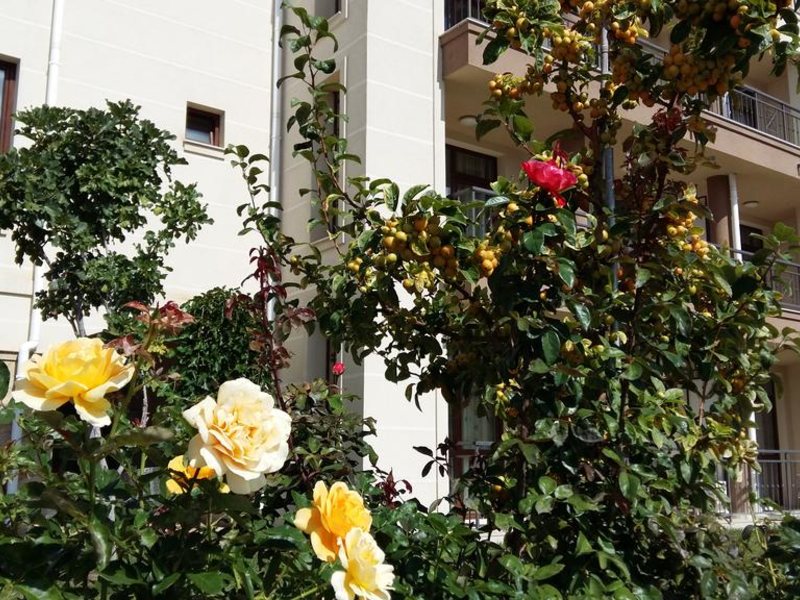 Sorento Sole Mare 213867