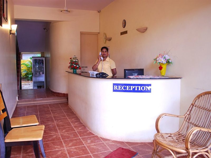 Star Of The Sea 114241