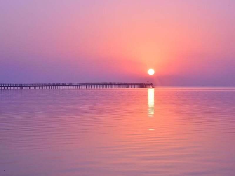 Steigenberger Alcazar  293996