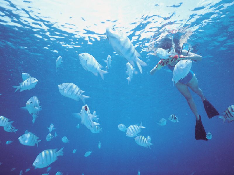 Steigenberger Aqua Magic 128802