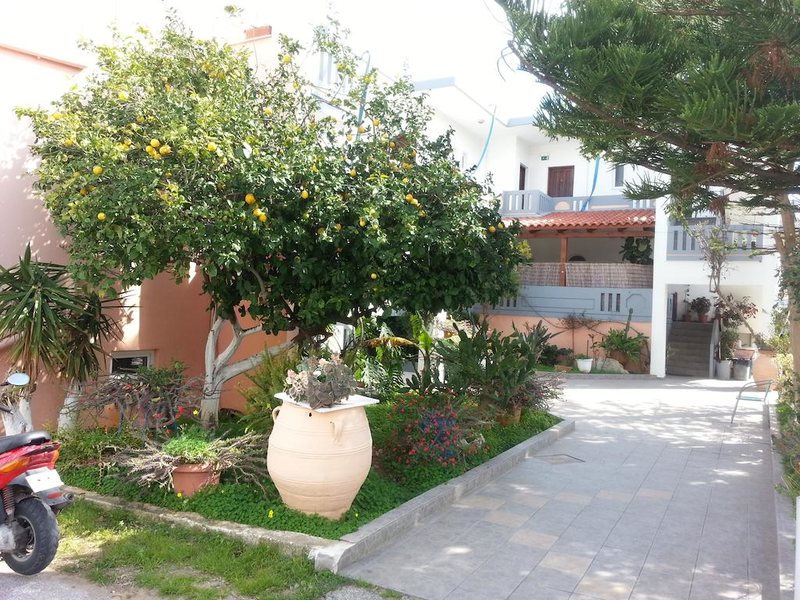 Studio Thodorou 287146