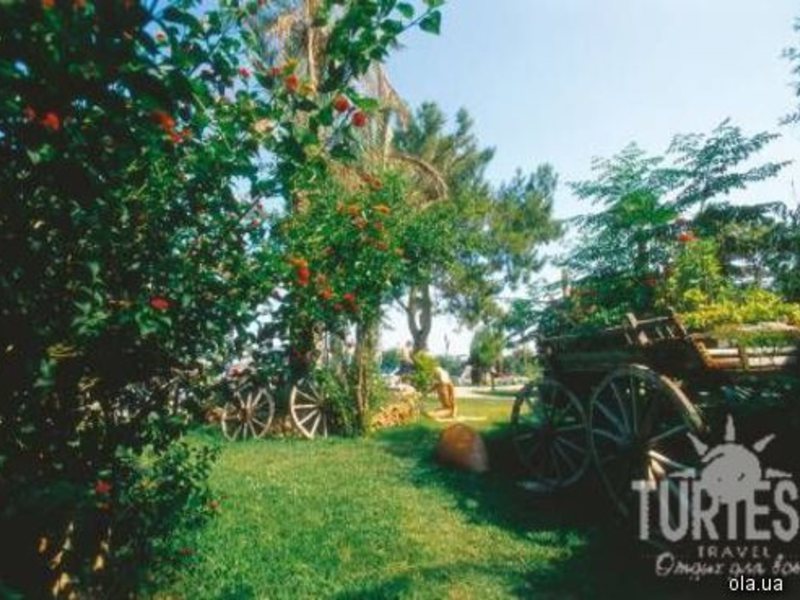 Sultan Beldibi (ех 24879