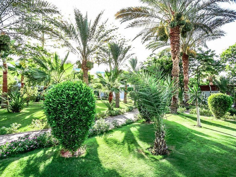 Sultan Gardens 128991