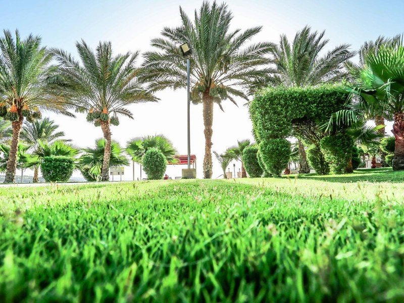 Sultan Gardens 129024