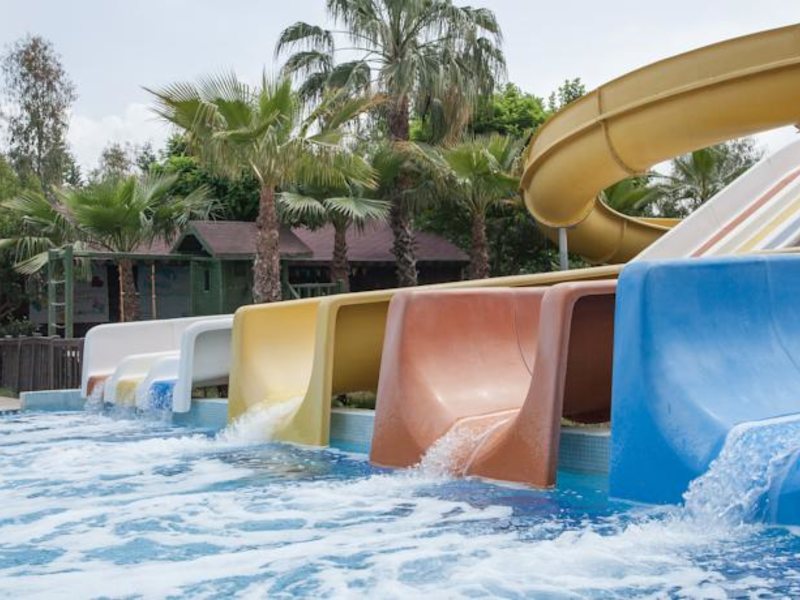 Sultan of Side 104114