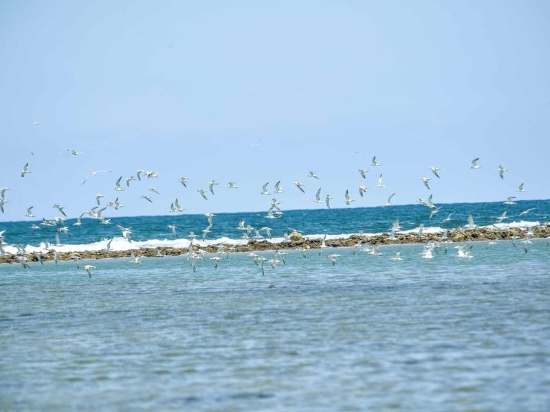 Sun Aqua Pasikudah 111955