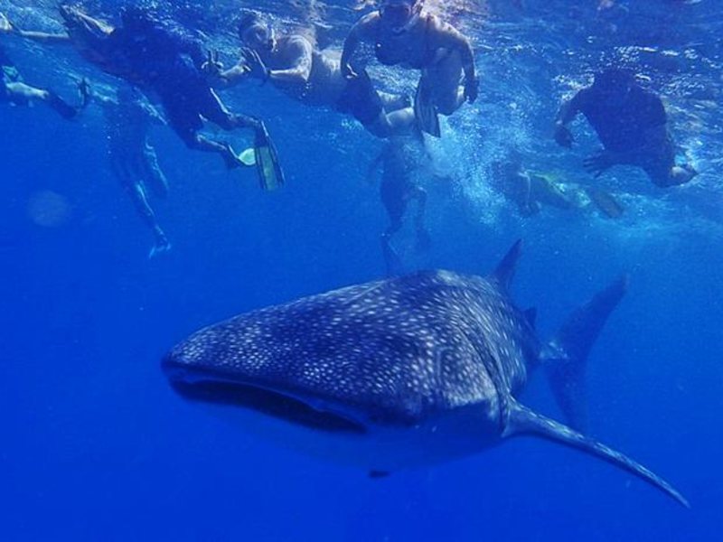 Sun Aqua Vilu Reef  136755