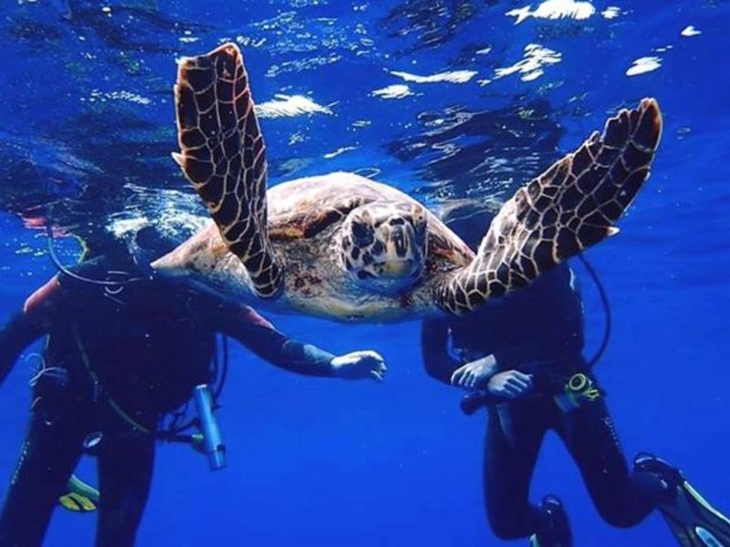 Sun Aqua Vilu Reef  136756