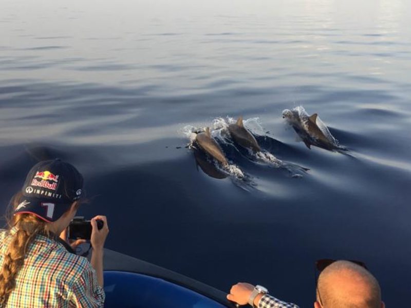 Sun Aqua Vilu Reef  136771