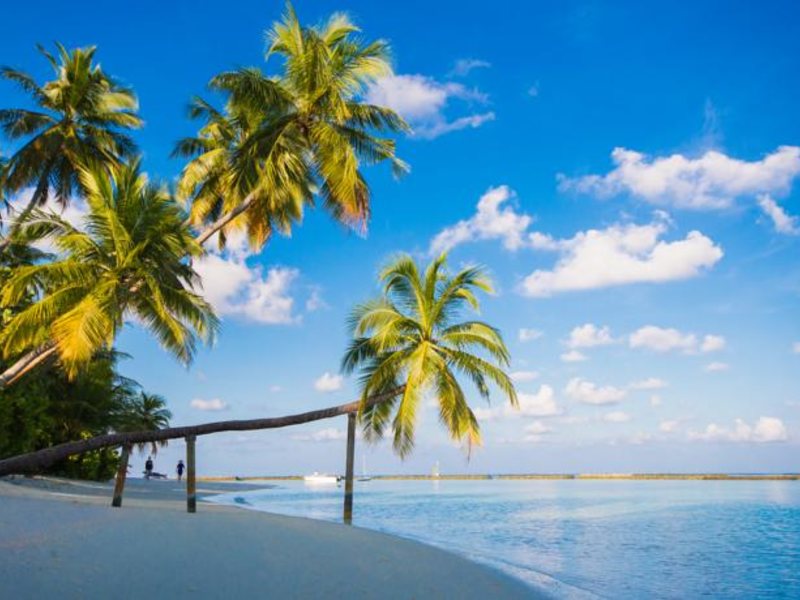 Sun Aqua Vilu Reef  136777