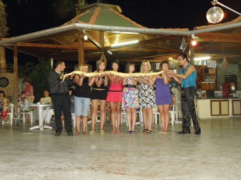 Sun Fire Beach Hotel 33857