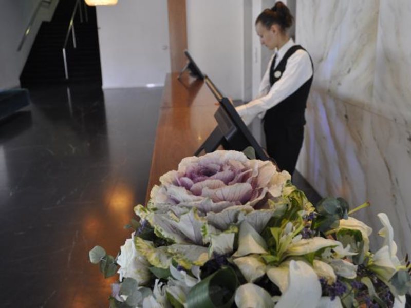 Sun Hall Hotel 87085