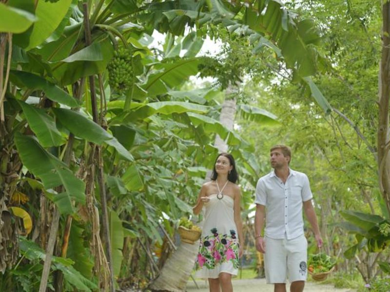 Sun Island Resort & Spa 136795