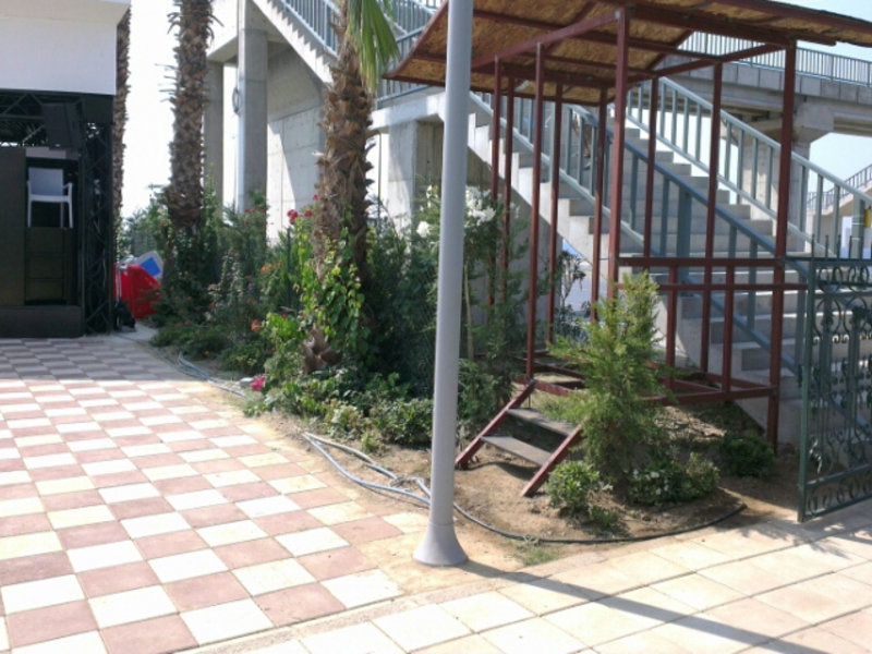 Sun Star Beach Resort 56636