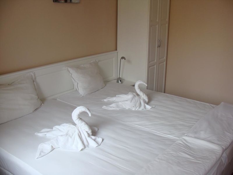 Sunny Beauty Palace  168852