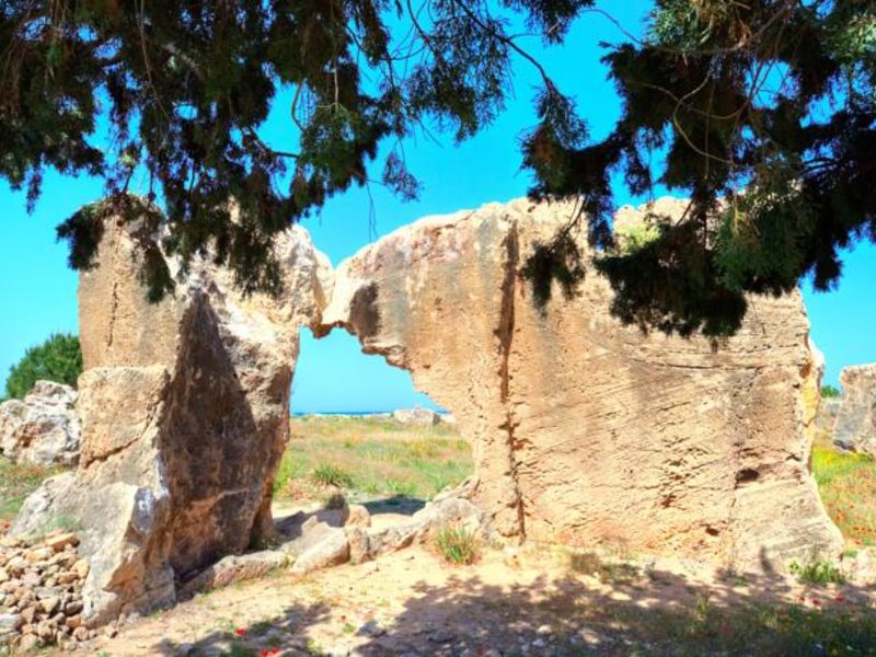 Sunny Hills Hotel Apartments 76324