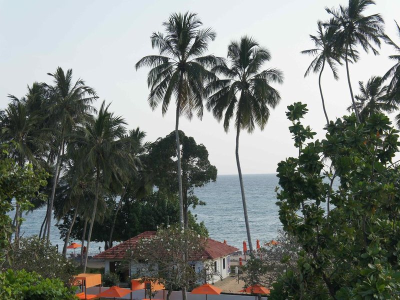 Sunny Mood Guest House 196036