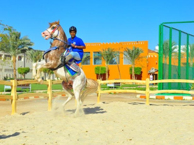 Sunrise Garden Beach Resort & Spa 57475