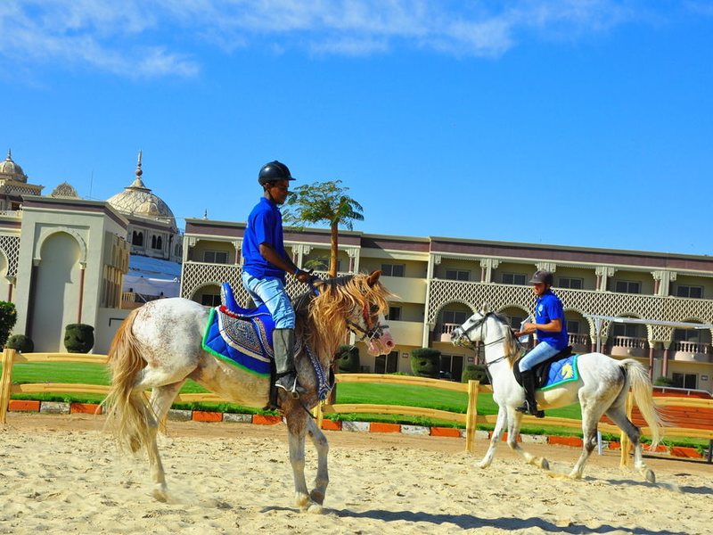 Sunrise Garden Beach  129144