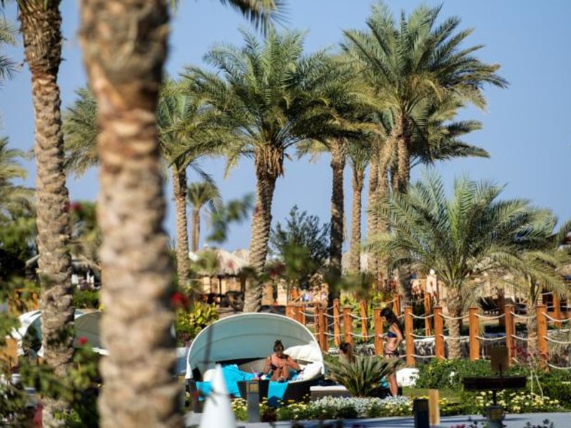 Sunrise Montemare Resort -Grand Select- (Adults Only) 60079