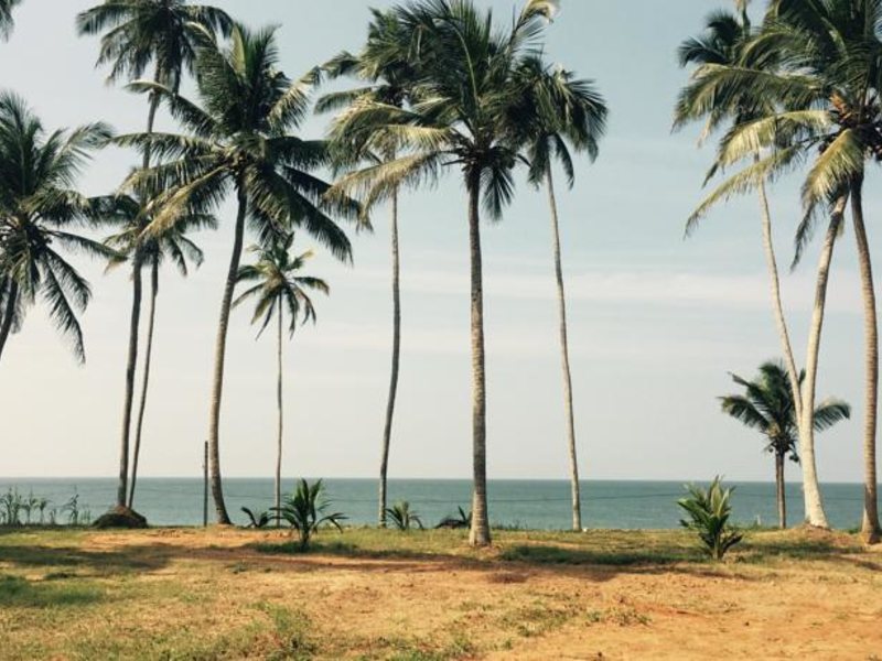 Sunset Beach Resort 116585