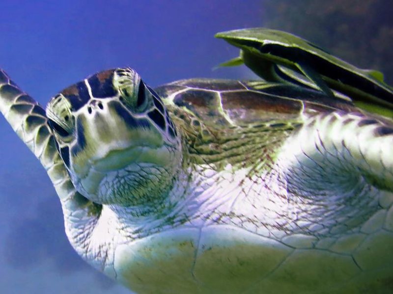 Sunset Kendwa 202504