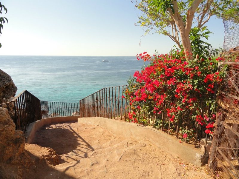 Sunset Sharm Hotel 72815