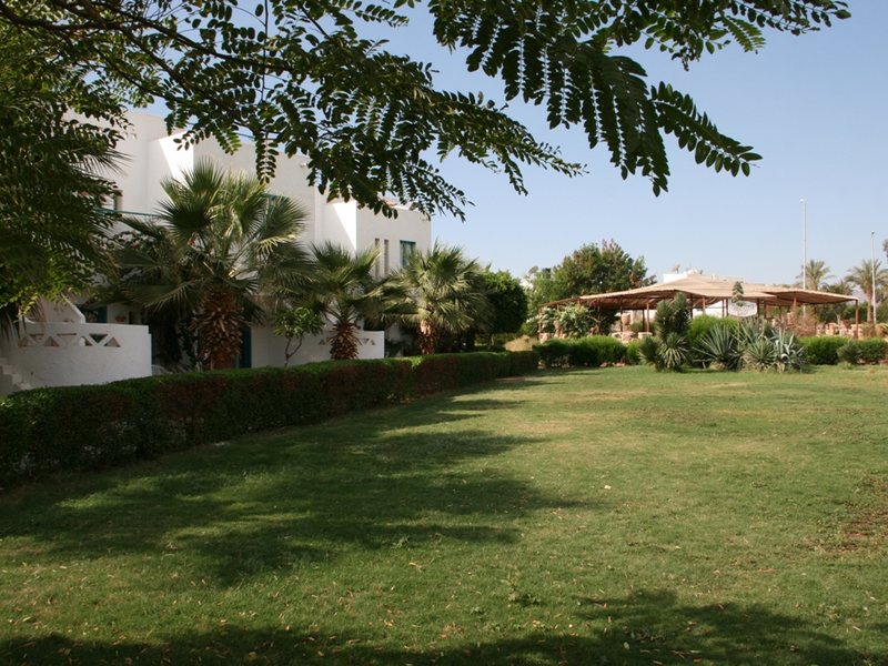 Sunset Sharm Hotel 72830