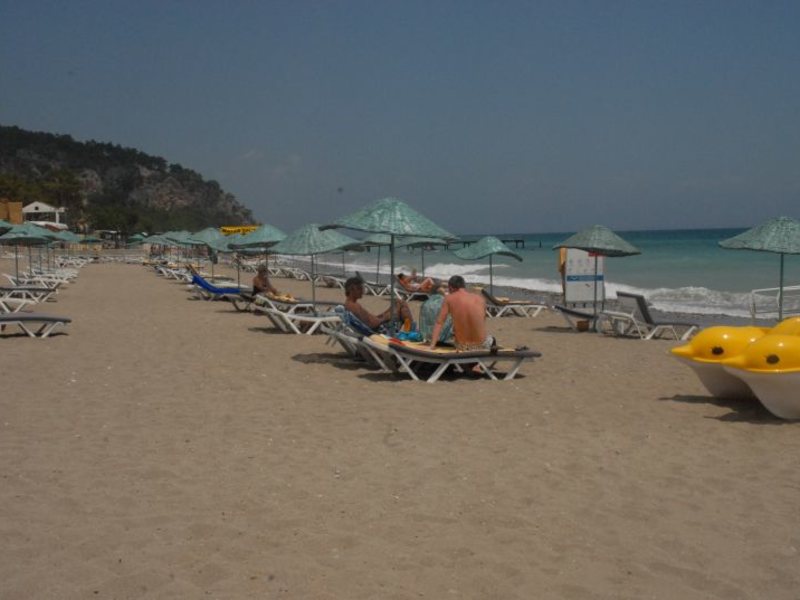 Sunshine Mir Hotel 188644