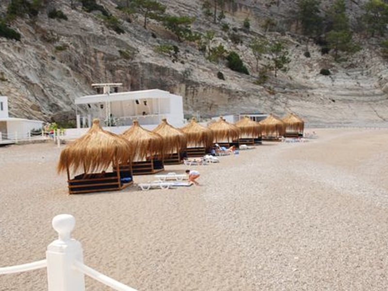 Suntopia Magic Life Kiris 32593