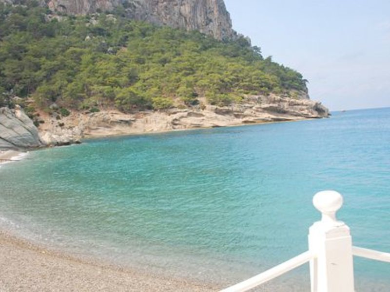 Suntopia Magic Life Kiris 32595