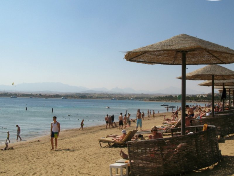 Sunwing Family 130586