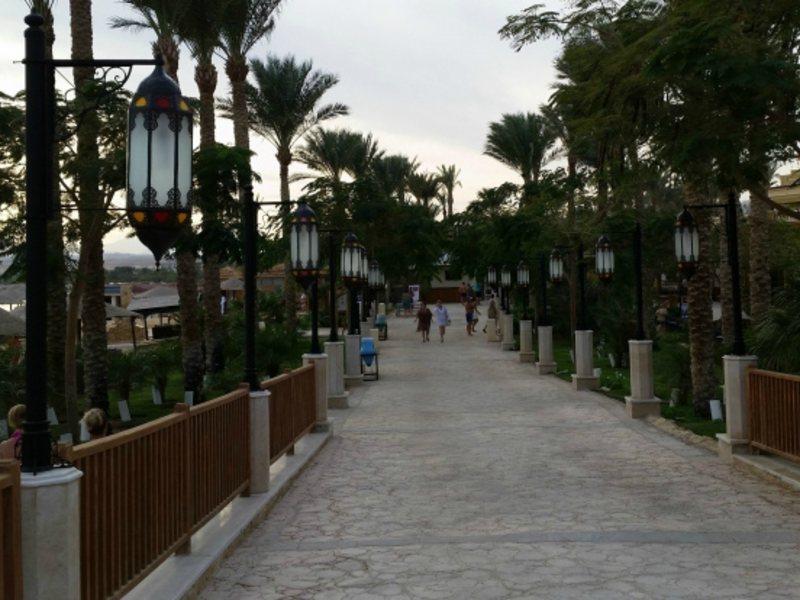 Sunwing Family 130589