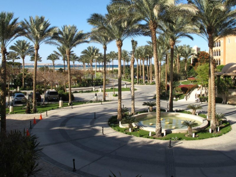 Sunwing Family 130593