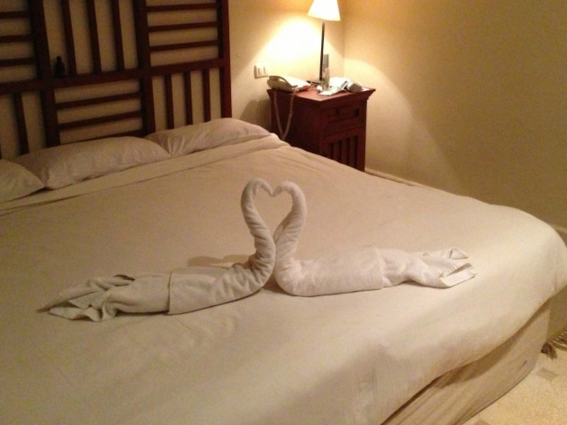 Sunwing Family 130598