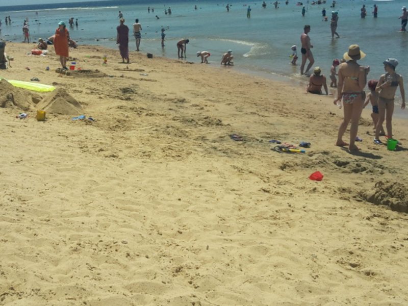 Sunwing Family 130600