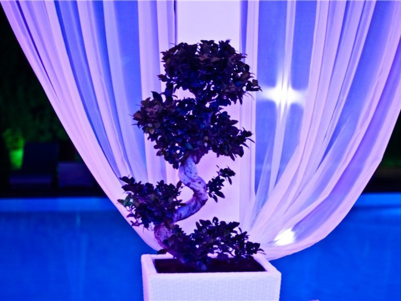 Sveltos Hotel 106276