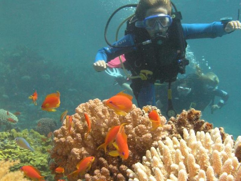 Swiss Inn Resort Dahab 58343