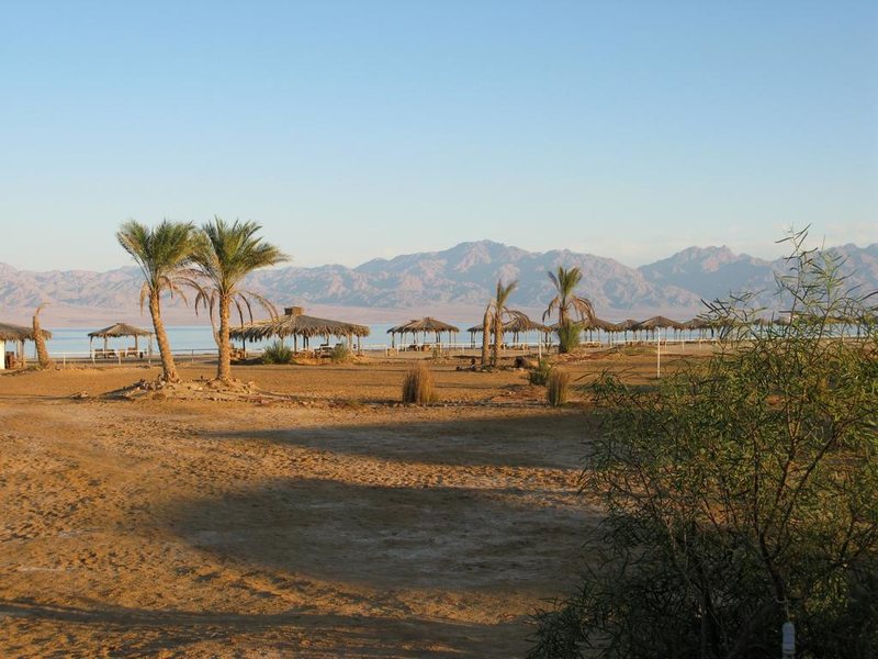 Swisscare Nuweiba Resort Hotel 191526