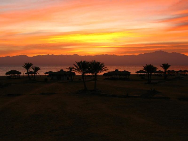 Swisscare Nuweiba Resort Hotel 191547